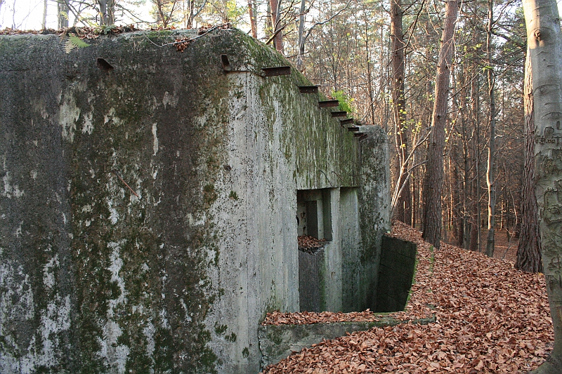 Rostoczek 11.2008 298
